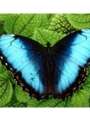 Userbild von FRANK2211