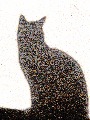 Userbild von ROSALINDA
