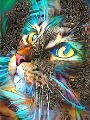 Userbild von GAGGY