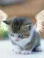 Userbild von LISSI