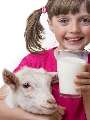 Userbild von GOATMILK