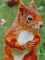 Userbild von ZYAN