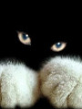Userbild von HAEDDL
